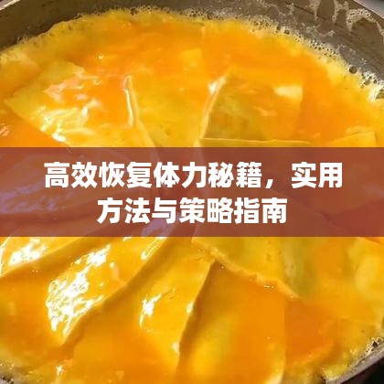 高效恢復(fù)體力秘籍，實(shí)用方法與策略指南