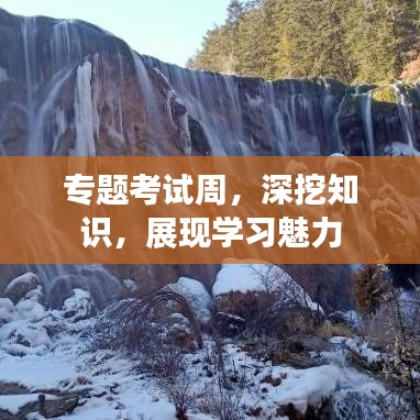 專題考試周，深挖知識(shí)，展現(xiàn)學(xué)習(xí)魅力