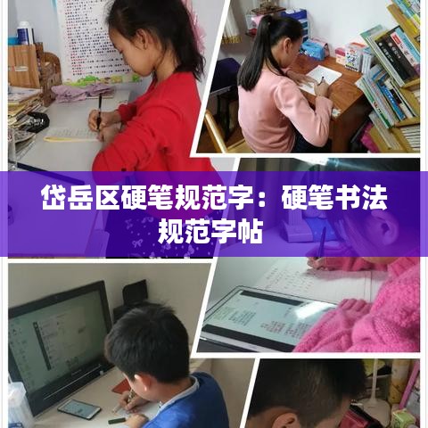 岱岳區(qū)硬筆規(guī)范字：硬筆書法規(guī)范字帖 