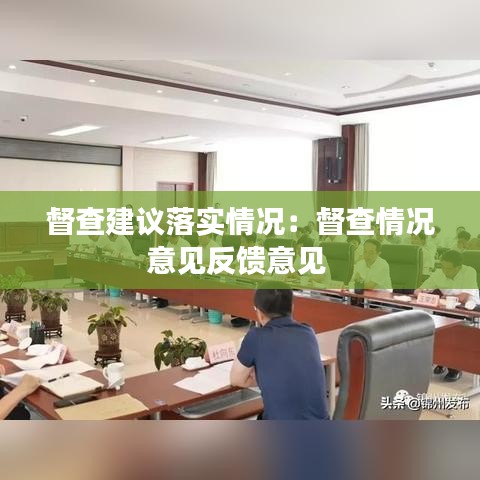 督查建議落實(shí)情況：督查情況意見反饋意見 