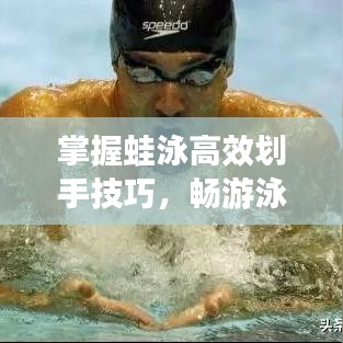 加盟合作 第141頁