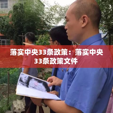 落實中央33條政策：落實中央33條政策文件 