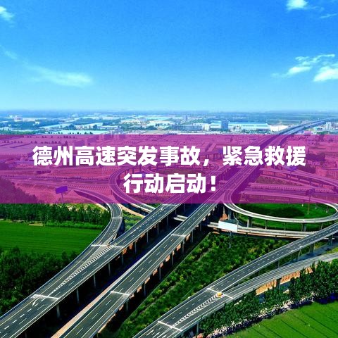 省吃?xún)€用 第3頁(yè)