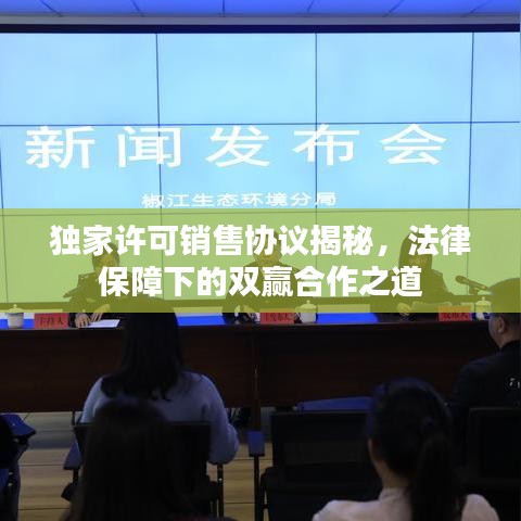 獨(dú)家許可銷(xiāo)售協(xié)議揭秘，法律保障下的雙贏合作之道