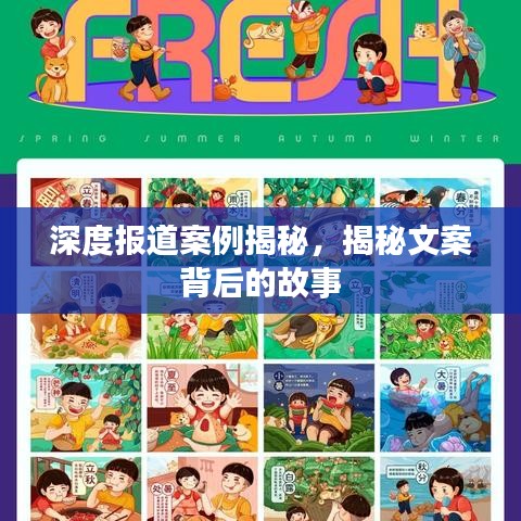 深度報(bào)道案例揭秘，揭秘文案背后的故事