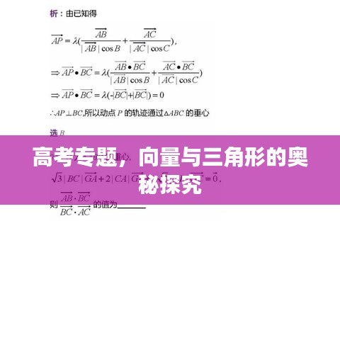 高考專題，向量與三角形的奧秘探究