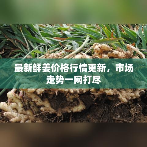 氣囊 第129頁(yè)