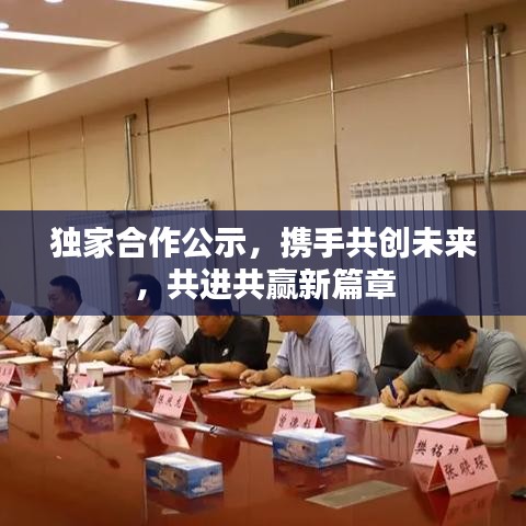 獨家合作公示，攜手共創(chuàng)未來，共進共贏新篇章
