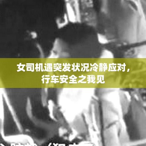 女司機遇突發(fā)狀況冷靜應對，行車安全之我見