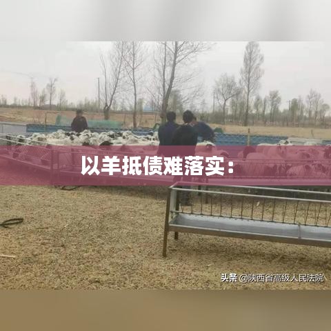 救急包 第137頁