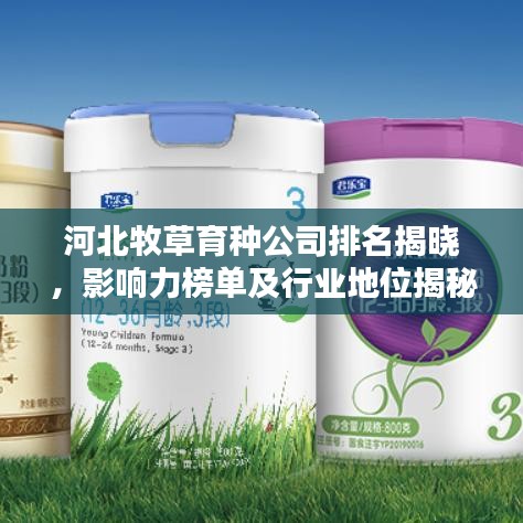 河北牧草育種公司排名揭曉，影響力榜單及行業(yè)地位揭秘