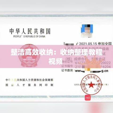 整潔高效收納：收納整理教程視頻 