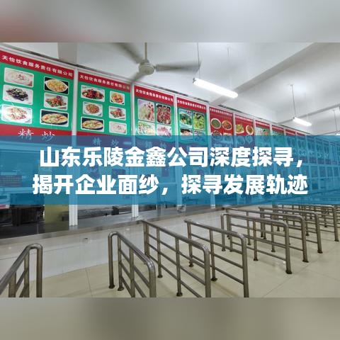 山東樂(lè)陵金鑫公司深度探尋，揭開(kāi)企業(yè)面紗，探尋發(fā)展軌跡