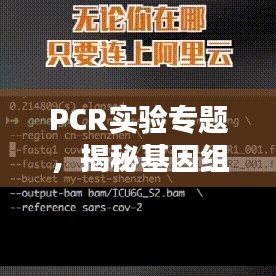 PCR實驗專題，揭秘基因組奧秘探索之旅