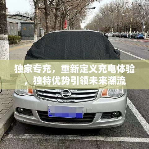 獨(dú)家專(zhuān)充，重新定義充電體驗(yàn)，獨(dú)特優(yōu)勢(shì)引領(lǐng)未來(lái)潮流
