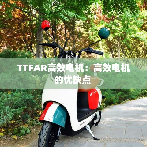 TTFAR高效電機：高效電機的優(yōu)缺點 