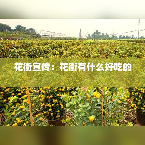 花街宣傳：花街有什么好吃的 