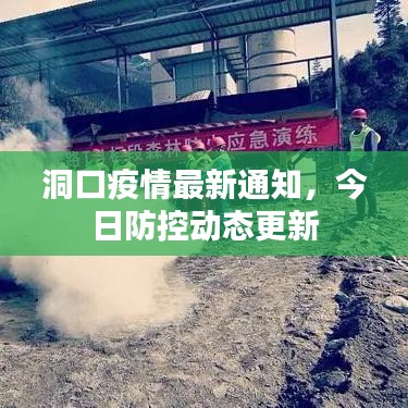 洞口疫情最新通知，今日防控動(dòng)態(tài)更新