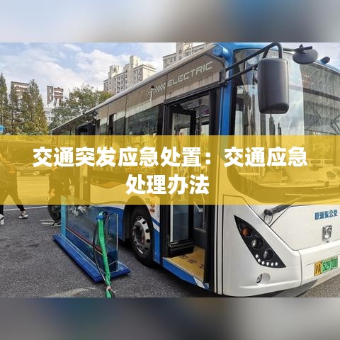 交通突發(fā)應急處置：交通應急處理辦法 