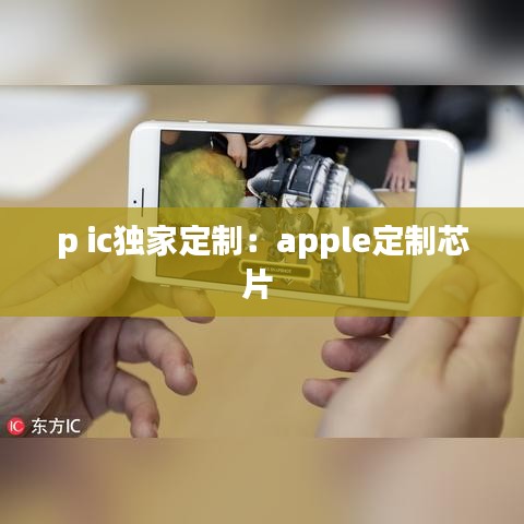 p ic獨(dú)家定制：apple定制芯片 
