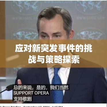 應(yīng)對(duì)新突發(fā)事件的挑戰(zhàn)與策略探索