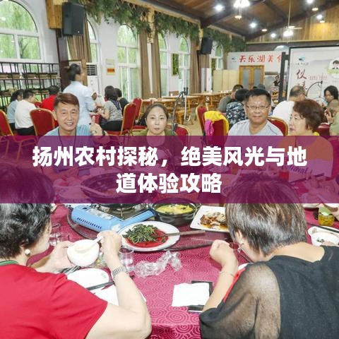 揚州農(nóng)村探秘，絕美風光與地道體驗攻略