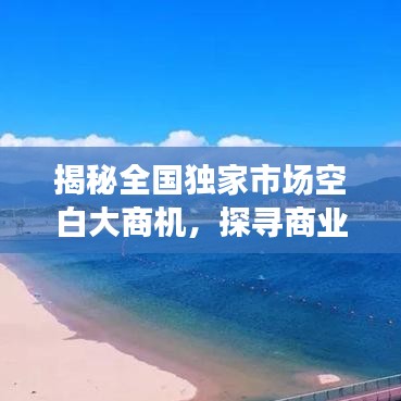揭秘全國獨家市場空白大商機，探尋商業(yè)新藍海，開啟財富大門！