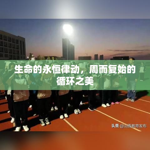 生命的永恒律動，周而復始的循環(huán)之美