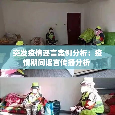 突發(fā)疫情謠言案例分析：疫情期間謠言傳播分析 