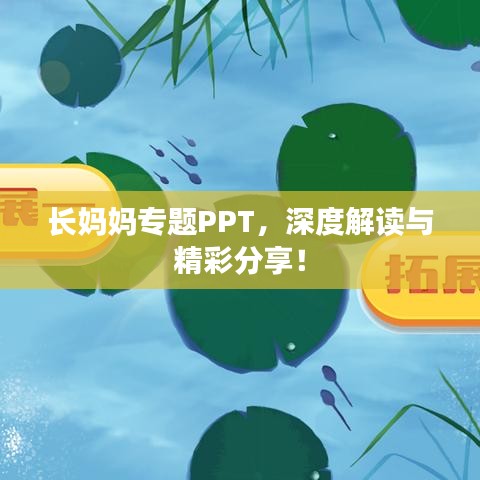 長媽媽專題PPT，深度解讀與精彩分享！