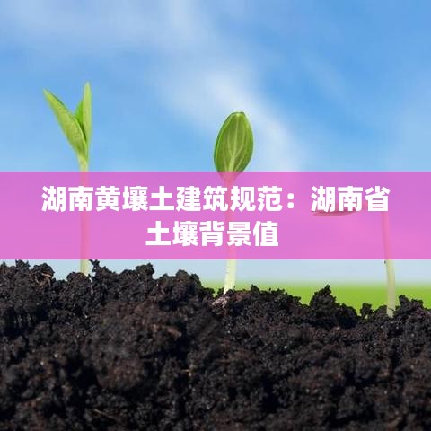 湖南黃壤土建筑規(guī)范：湖南省土壤背景值 