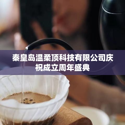 秦皇島溫柔頂科技周年慶盛典盛況回顧