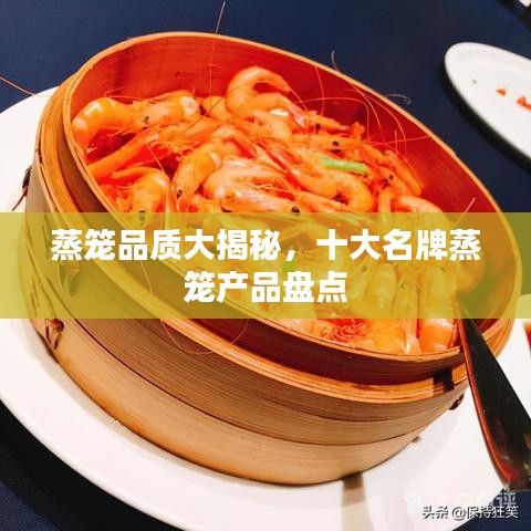 蒸籠品質(zhì)大揭秘，十大名牌蒸籠產(chǎn)品盤點(diǎn)