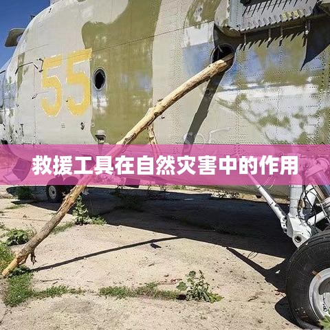 淺笑輕吟夢(mèng)一曲 第5頁