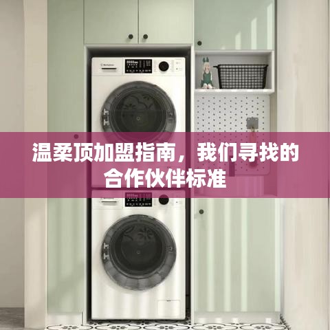 溫柔頂加盟手冊(cè)，合作伙伴招募標(biāo)準(zhǔn)詳解