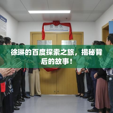 徐琳的百度探索之旅，揭秘背后的故事！