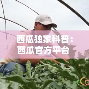 西瓜獨家科普：西瓜官方平臺 