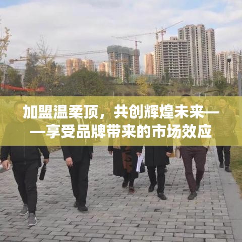 加盟溫柔頂，共創(chuàng)輝煌未來，品牌市場(chǎng)效應(yīng)等你來享