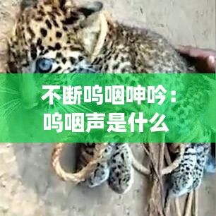 不斷嗚咽呻吟：嗚咽聲是什么 