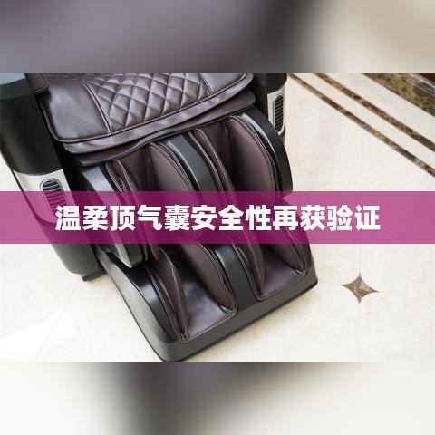 溫柔頂氣囊安全性能驗(yàn)證報(bào)告