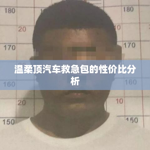 溫柔頂汽車救急包，性價比解析