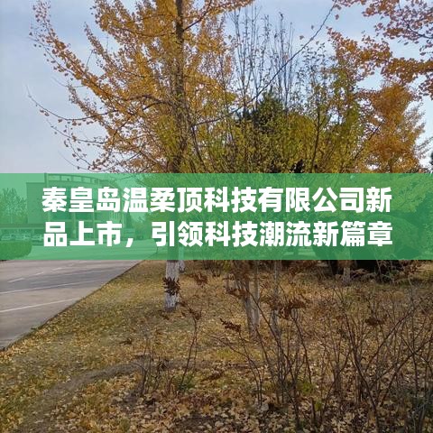 秦皇島溫柔頂科技新品發(fā)布，科技潮流新篇章開啟