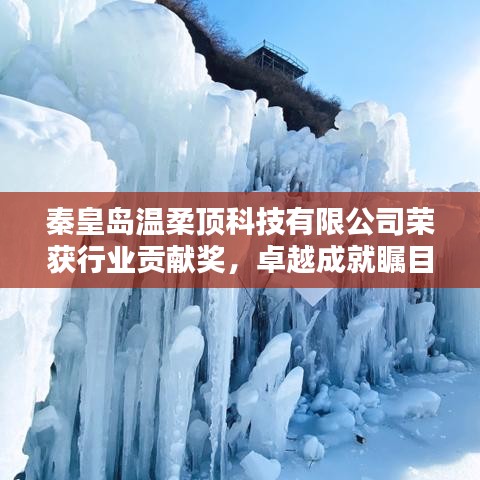 秦皇島溫柔頂科技榮獲行業(yè)貢獻獎，引領(lǐng)創(chuàng)新風潮，卓越成就矚目