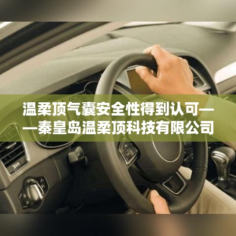 秦皇島溫柔頂科技引領(lǐng)行業(yè)新標桿，氣囊安全性備受認可