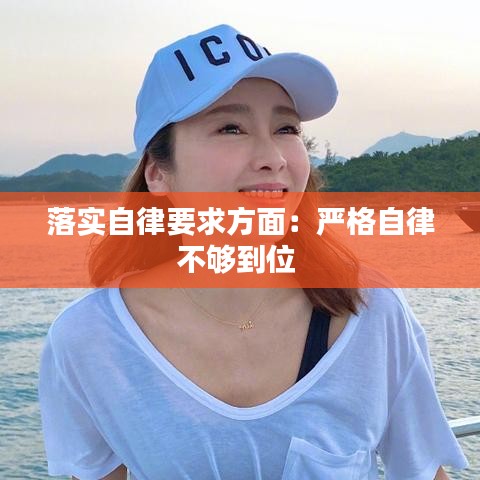 落實(shí)自律要求方面：嚴(yán)格自律不夠到位 