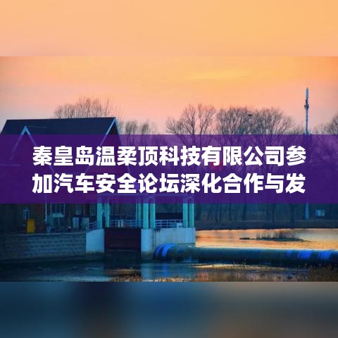 秦皇島溫柔頂科技參加汽車安全論壇，深化合作，共謀發(fā)展