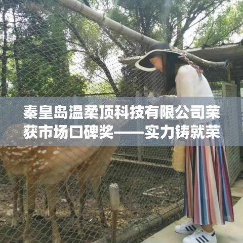 秦皇島溫柔頂科技榮獲市場口碑獎，實力創(chuàng)新，引領未來