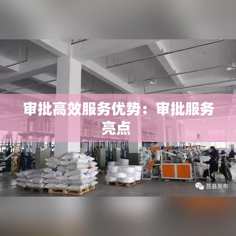審批高效服務優(yōu)勢：審批服務亮點 