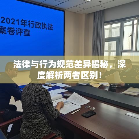 法律與行為規(guī)范差異揭秘，深度解析兩者區(qū)別！