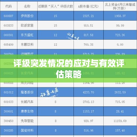 評(píng)級(jí)突發(fā)情況的應(yīng)對(duì)與有效評(píng)估策略